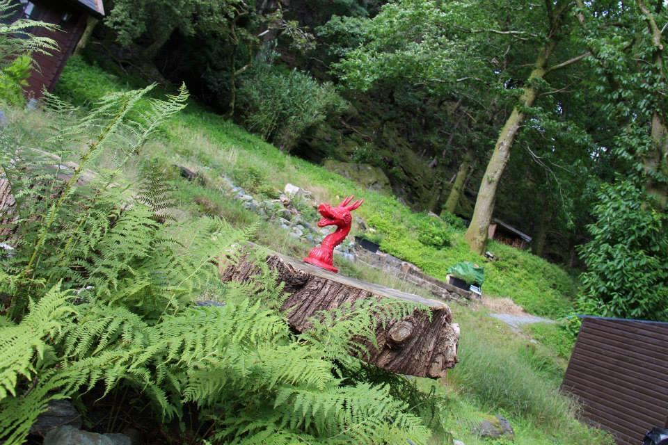 Bryn Dinas Camping Pods At The Foot Of Mt Snowdon Beddgelert Exterior photo